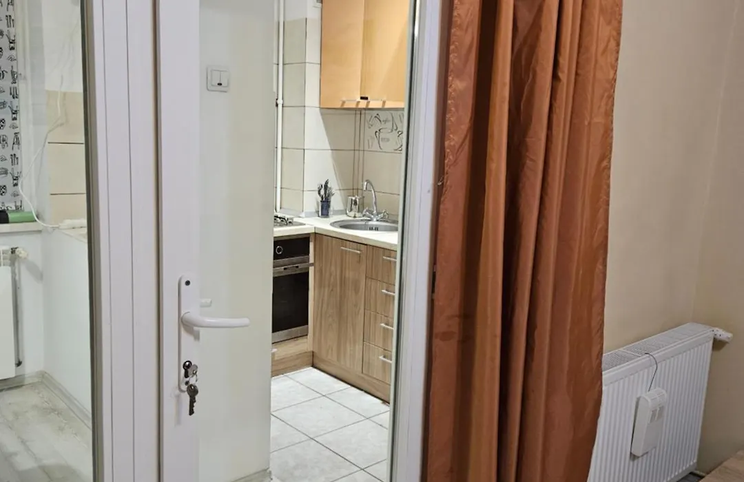 Cozy Studio Coresi-1